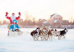 Зимний отдых
