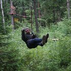 троллейная трасса 